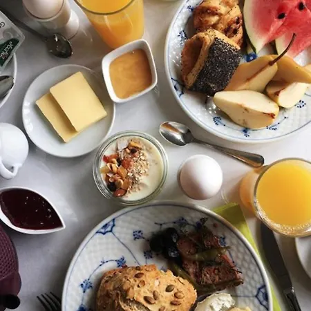 北辛库洛酒店 宾馆 Nørre Vissing