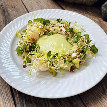 北辛库洛酒店 宾馆 Nørre Vissing